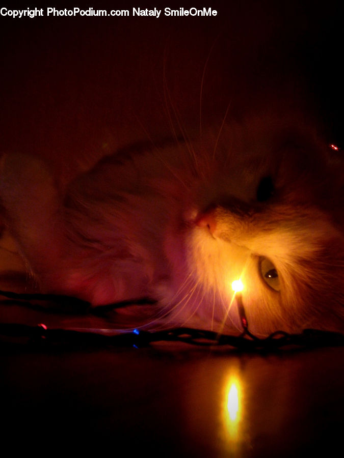 Candle, Laser, Light, Fire