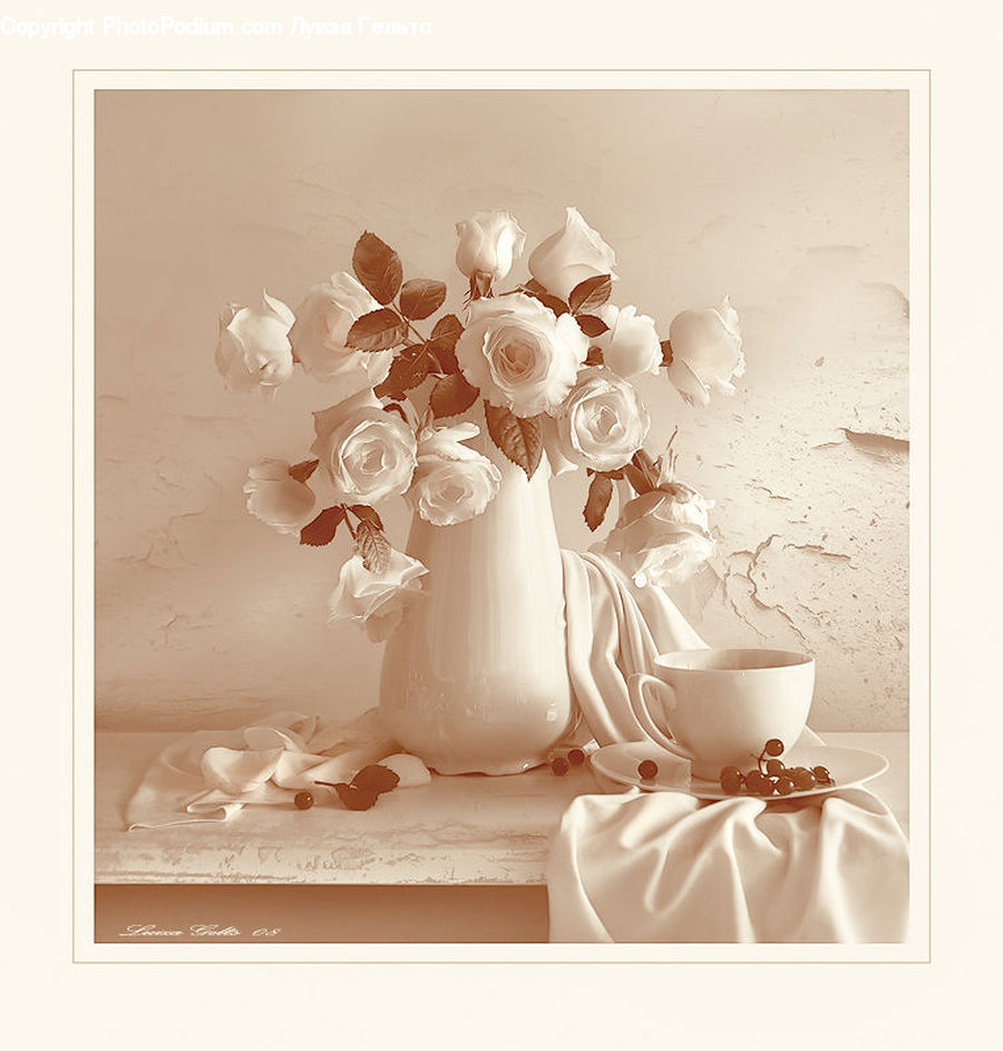Blossom, Flower, Peony, Plant, Cup, Porcelain, Saucer