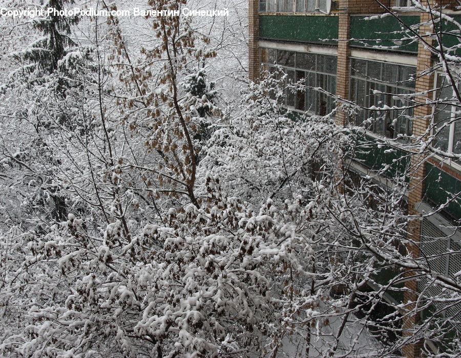 Frost, Ice, Outdoors, Snow, Rubble, Brick, Construction