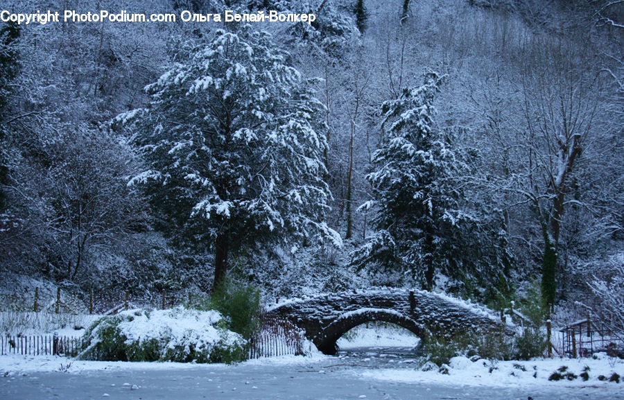 Ice, Outdoors, Snow, Landscape, Nature, Scenery, Conifer