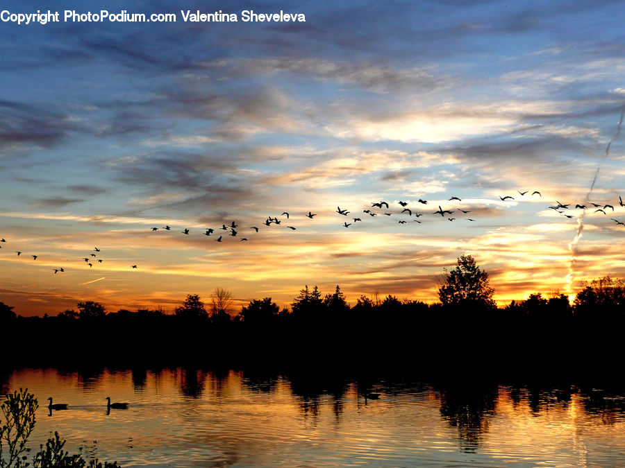 Dawn, Dusk, Red Sky, Sky, Sunrise, Sunset, Outdoors