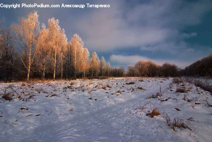 Outdoors, Plateau, Frost, Ice, Snow, Basin, Field