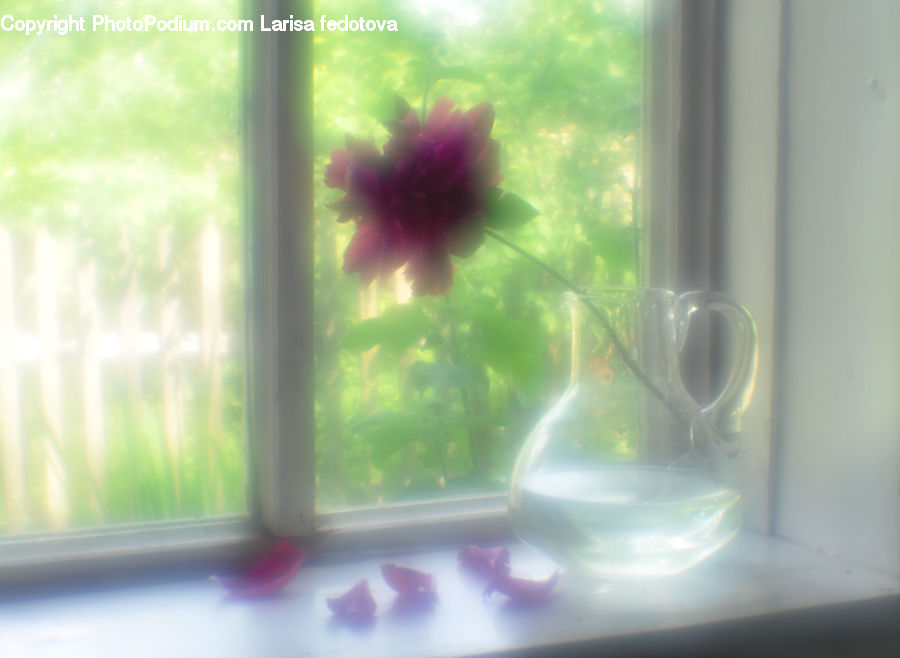 Algae, Plant, Cosmos, Dining Room, Indoors, Room, Anther