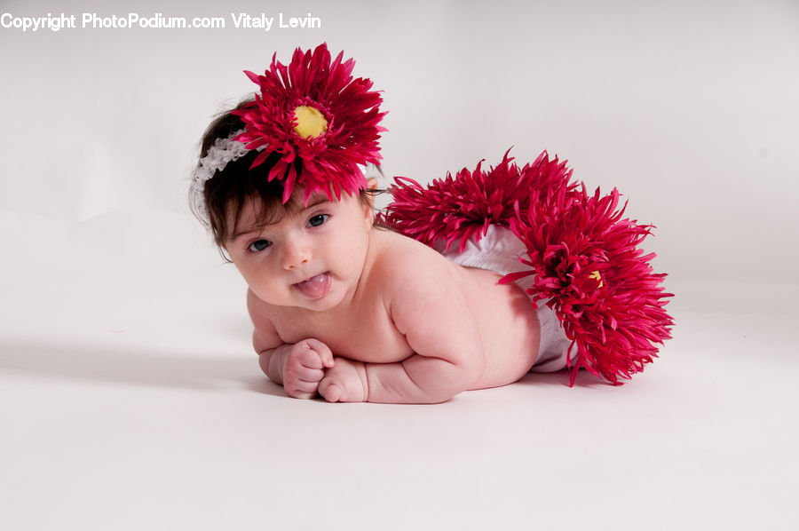 Baby, Child, Kid, Newborn, Blossom, Flower, Peony