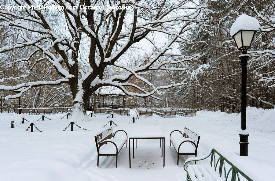 Blizzard, Outdoors, Snow, Weather, Winter, Bench, Ice