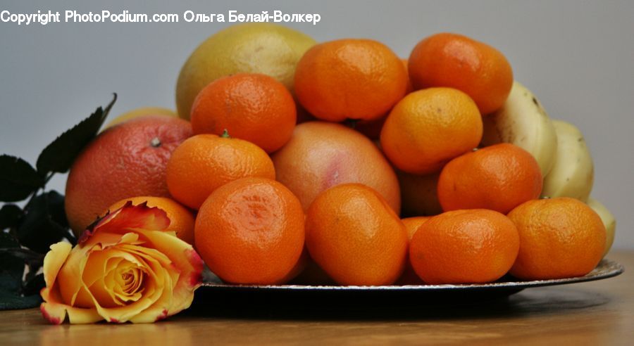 Citrus Fruit, Fruit, Orange, Bowl, Blossom, Flower, Plant