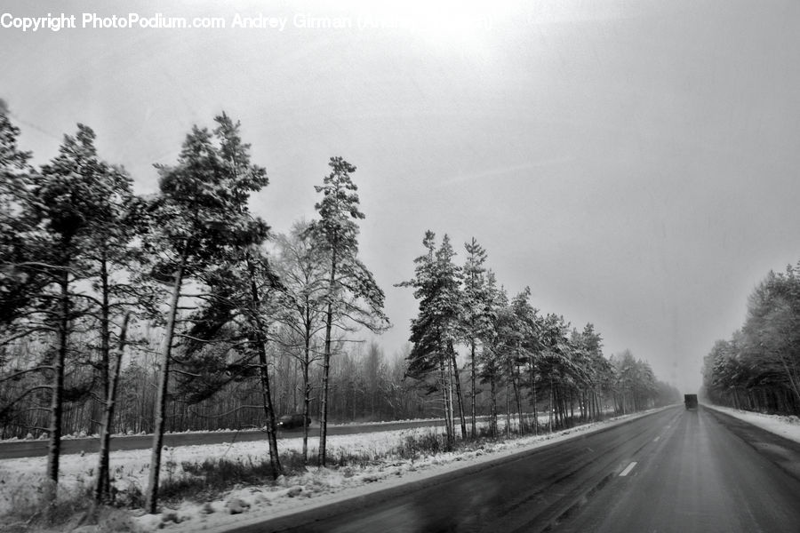 Road, Freeway, Highway, Dirt Road, Gravel, Forest, Vegetation