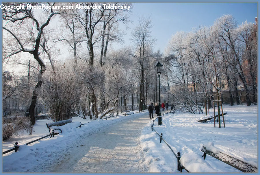 Ice, Outdoors, Snow, Exercise, Fitness, Jogging, Bench