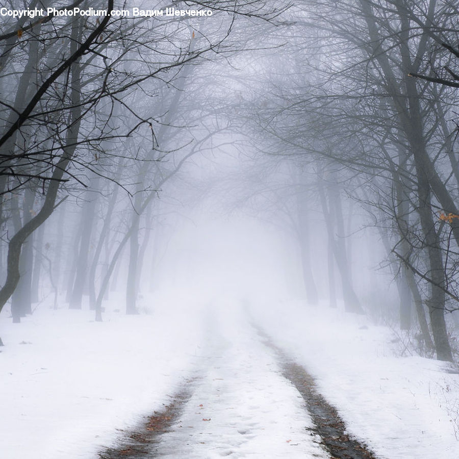 Blizzard, Outdoors, Snow, Weather, Winter, Dirt Road, Gravel