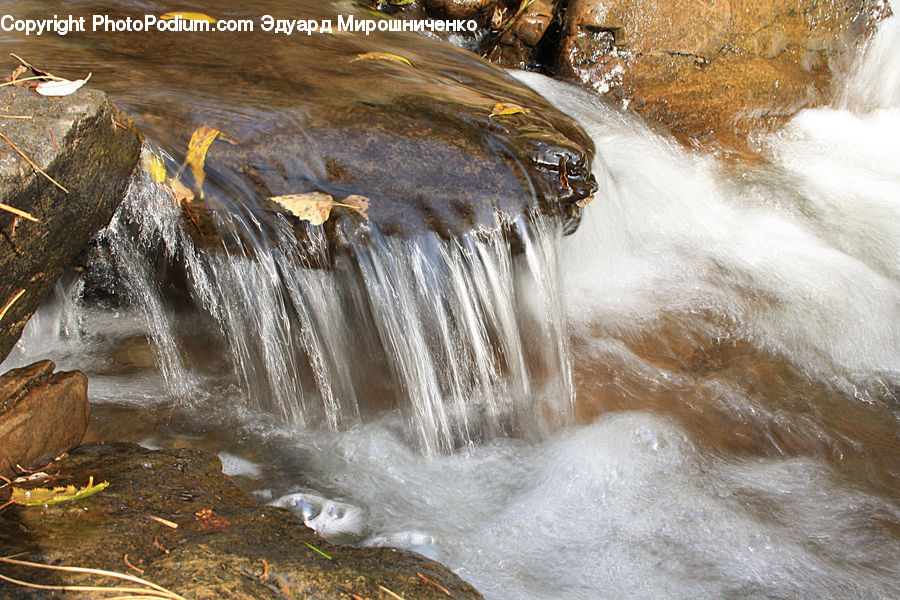 Creek, Outdoors, River, Water, Waterfall, Ardeidae, Bird