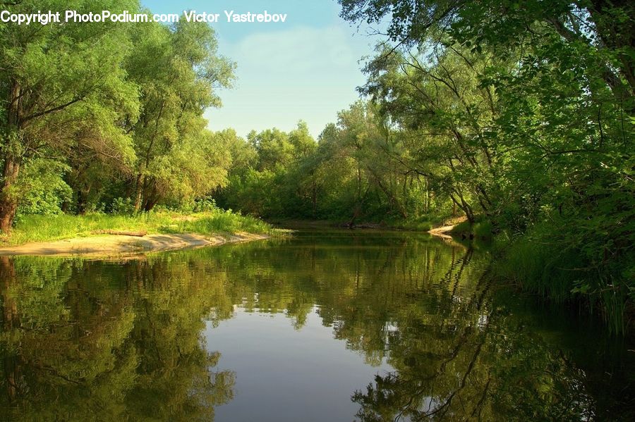 Outdoors, Pond, Water, Canal, River, Forest, Vegetation