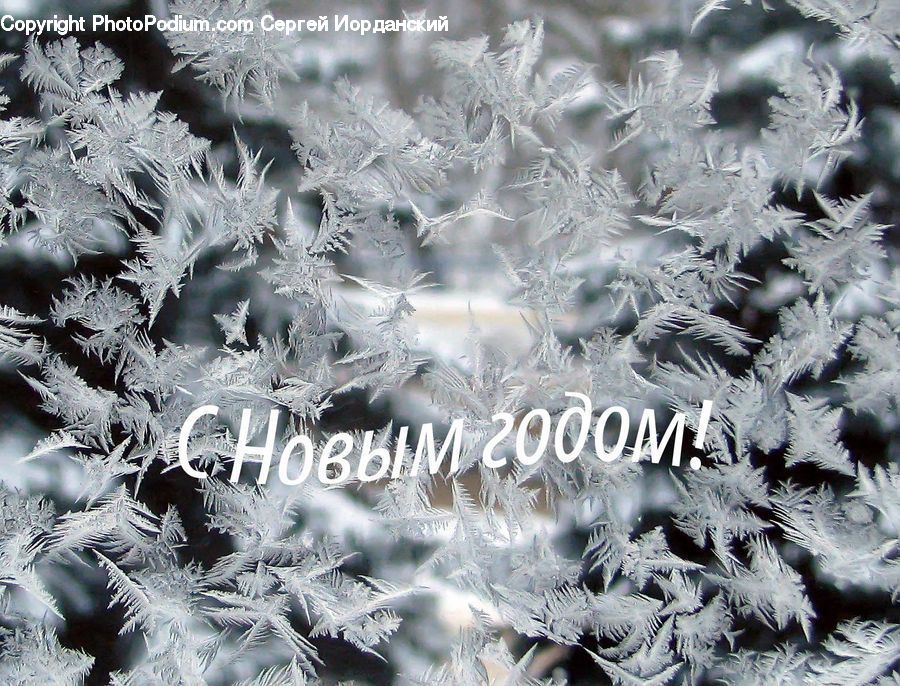 Frost, Ice, Outdoors, Snow, Crystal, Snowflake, Fractal