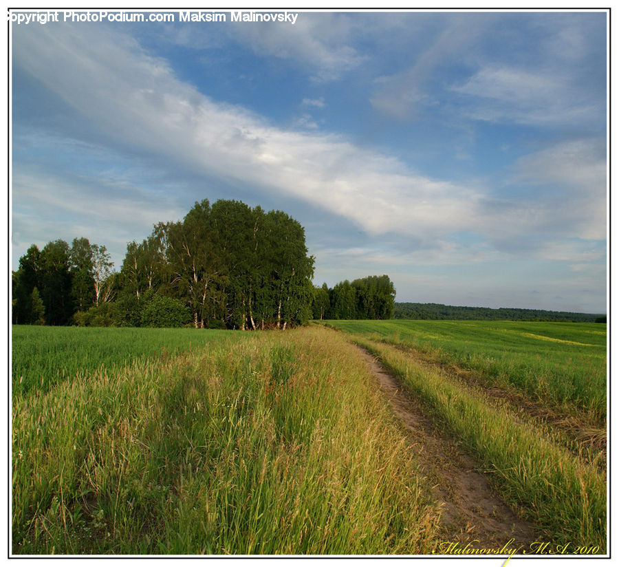 Field, Grass, Grassland, Land, Outdoors, Dirt Road, Gravel