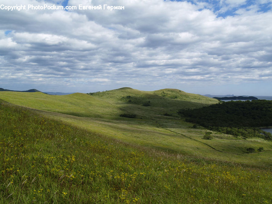 Field, Grass, Grassland, Land, Outdoors, Countryside, Hill