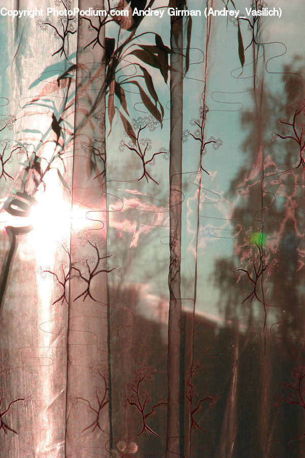 Plant, Weed, Birch, Tree, Wood, Flower Arrangement, Ikebana