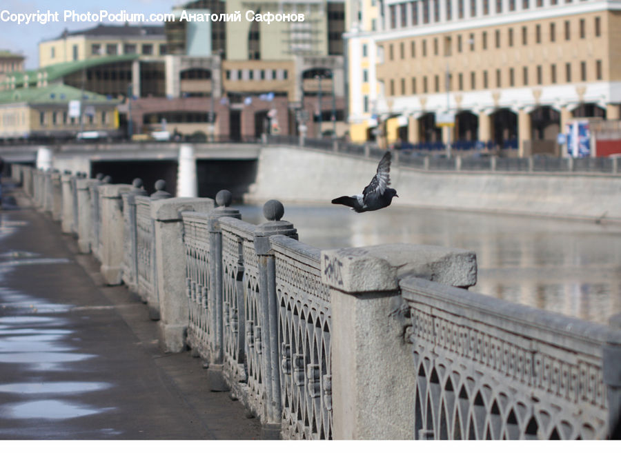 Boardwalk, Deck, Path, Sidewalk, Walkway, Apartment Building, Building