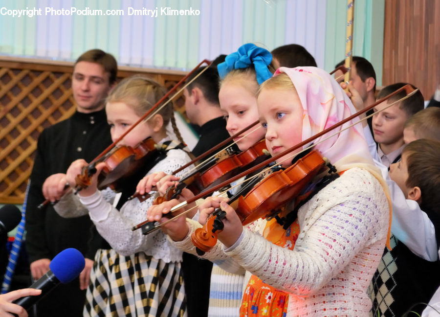 Cello, Fiddle, Musical Instrument, Violin, People, Person, Human