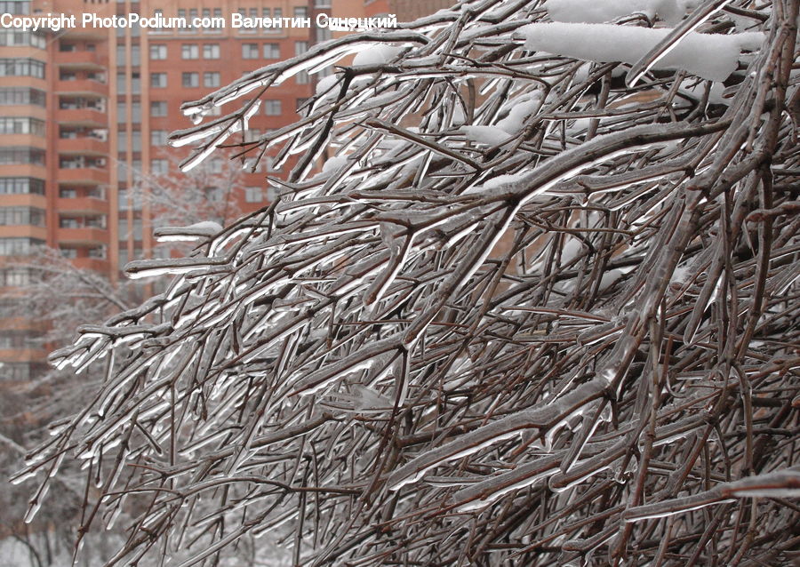 Blizzard, Outdoors, Snow, Weather, Winter