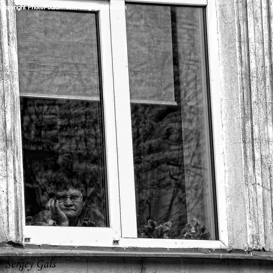 People, Person, Human, Window, Portrait, Selfie, Head