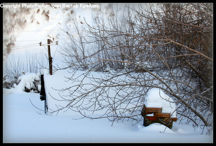 Bird Feeder