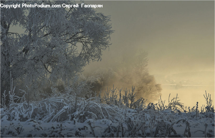 Frost, Ice, Outdoors, Snow, Field, Grass, Grassland