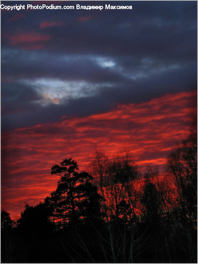 Dawn, Dusk, Red Sky, Sky, Sunrise, Sunset, Outdoors