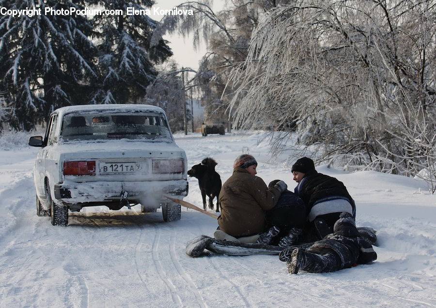 People, Person, Human, Bulldozer, Snowplow, Vehicle, Piste