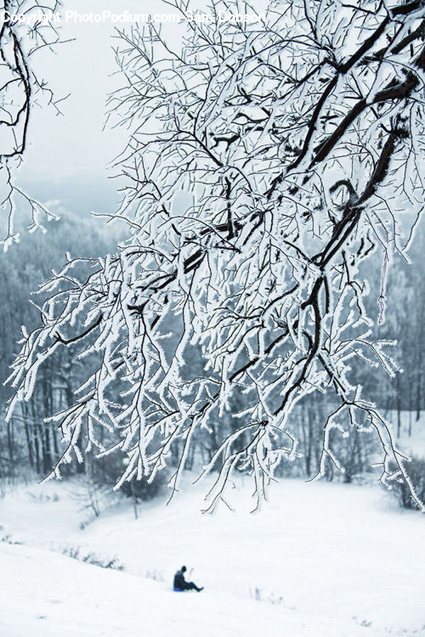 Ice, Outdoors, Snow, Blizzard, Weather, Winter, Landscape
