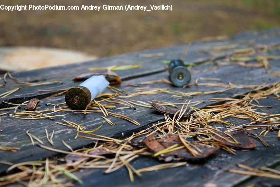 Rust, Pavement, Field, Grass, Grassland, Plant