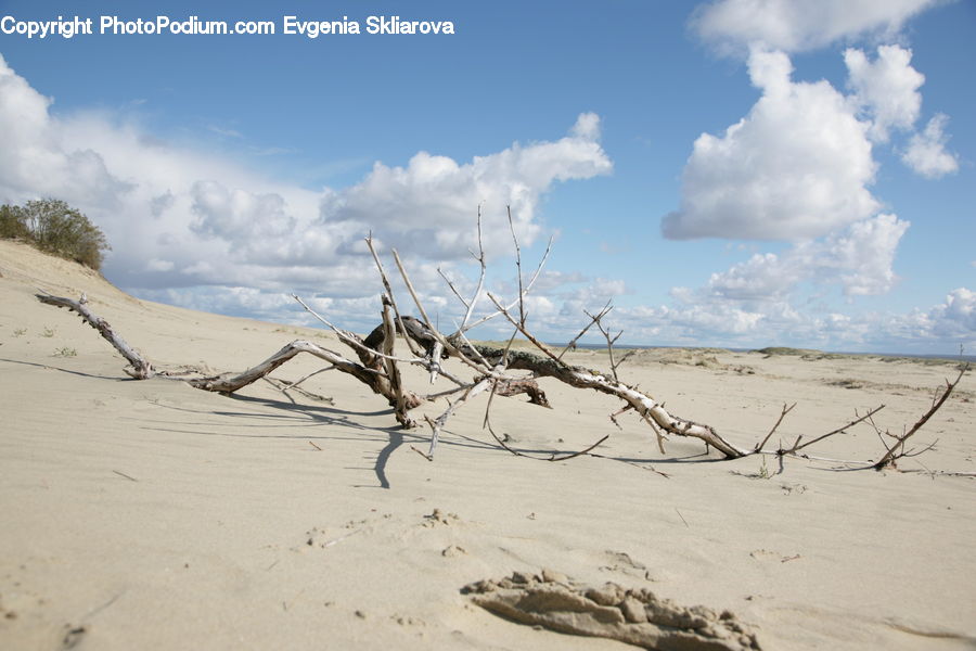 Desert, Outdoors, Sand, Soil, Dune, Beach, Coast