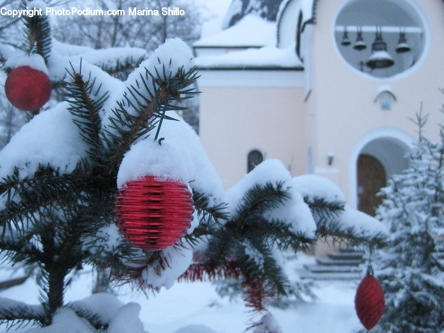 Ornament, Architecture, Bell Tower, Clock Tower, Tower, Conifer, Fir