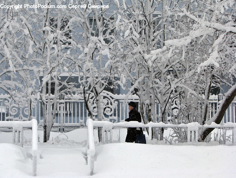 Ice, Outdoors, Snow, Blizzard, Weather, Winter, Bench