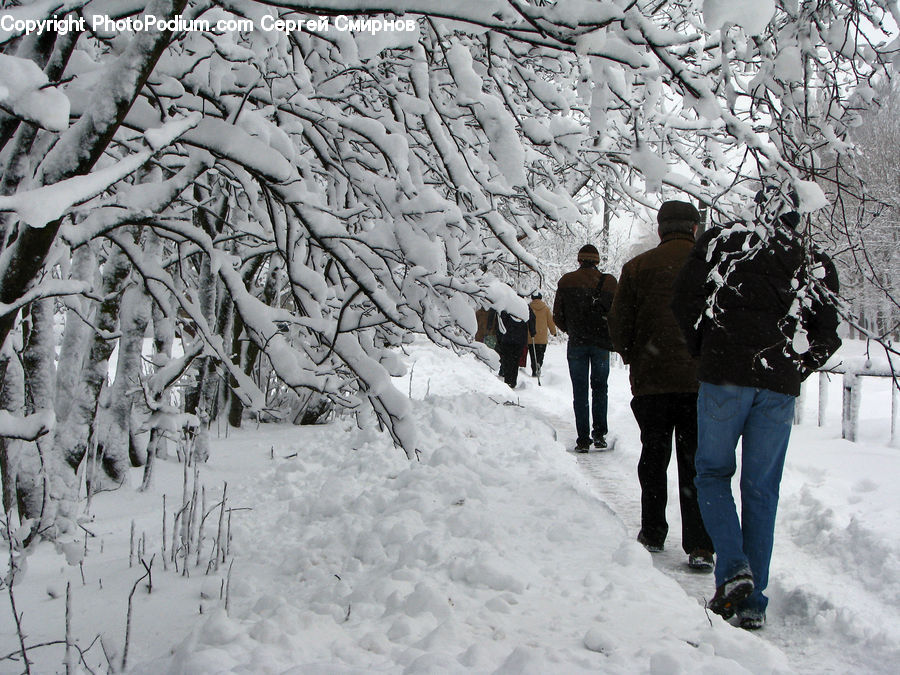 People, Person, Human, Ice, Outdoors, Snow