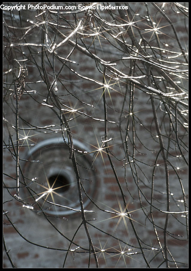 Field, Grass, Grassland, Plant, Art, Modern Art, Blossom