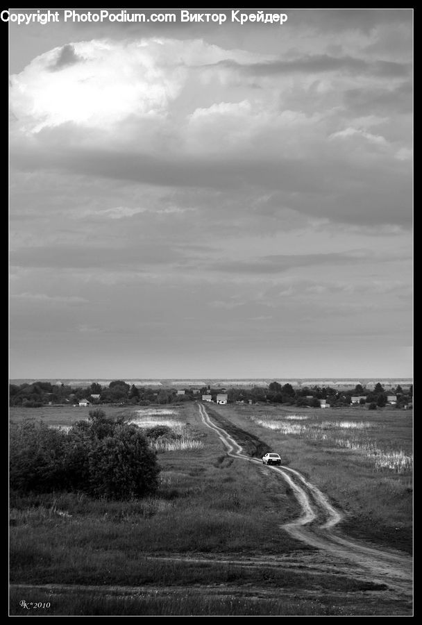 Bush, Plant, Vegetation, Countryside, Field, Grass, Grassland
