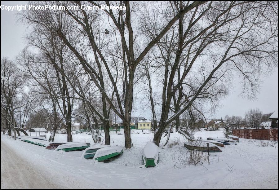 Ice, Outdoors, Snow, Playground, Plant, Tree, Bench