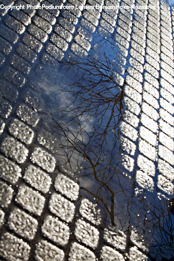 Cobblestone, Pavement, Walkway, Building, City, High Rise