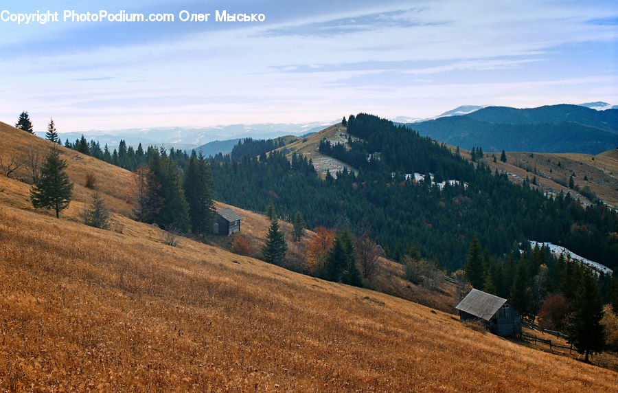 Field, Grass, Grassland, Land, Outdoors, Dirt Road, Gravel