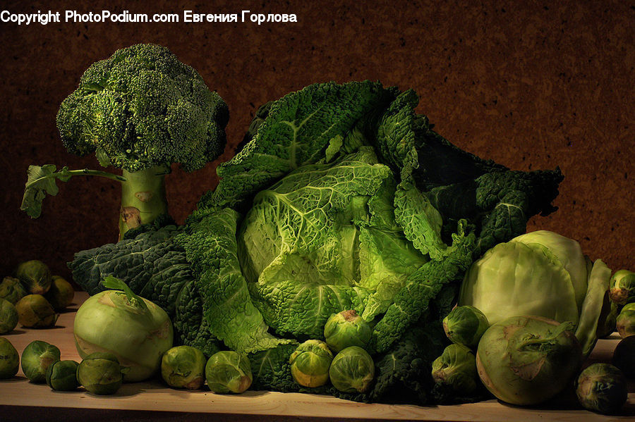 Broccoli, Produce, Vegetable, Cabbage, Head Cabbage, Plant, Potted Plant