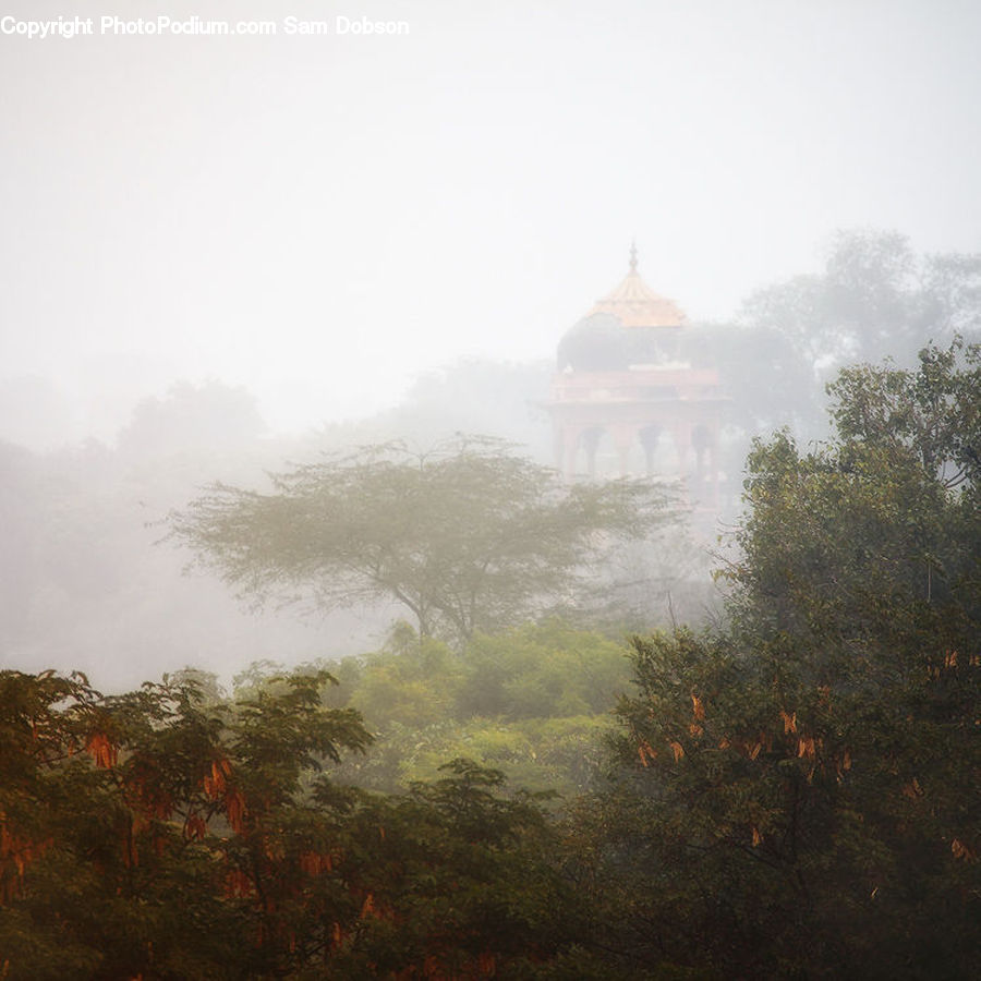 Fog, Mist, Outdoors