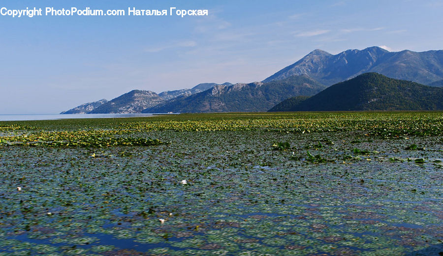 Field, Grass, Grassland, Land, Outdoors, Plateau, Tundra