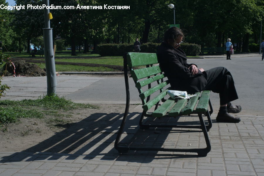 People, Person, Human, Park Bench, Bench