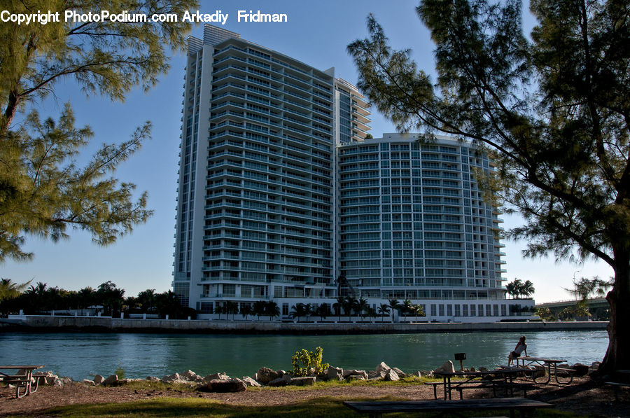 Building, Housing, Office Building, Dock, Landing, Pier, City