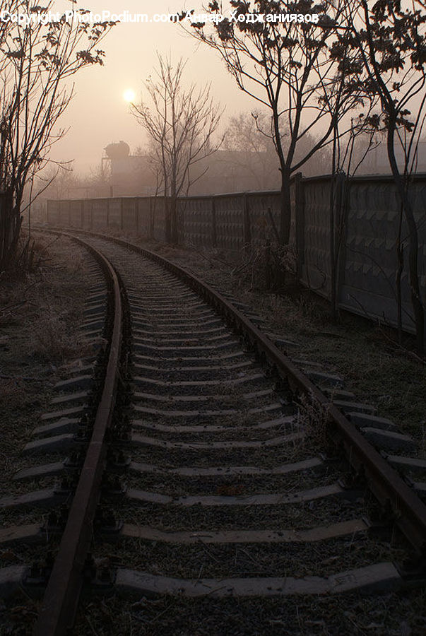 Rail, Train Track, Dirt Road, Gravel, Road, Freight Car, Shipping Container