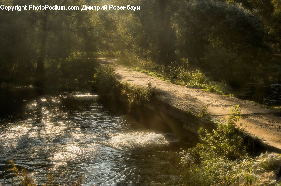 Plant, Potted Plant, Outdoors, River, Water, Creek, Dirt Road