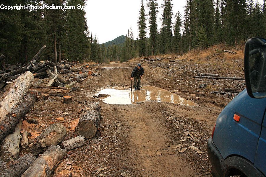 Dirt Road, Gravel, Road, Tire, Automobile, Car, Vehicle