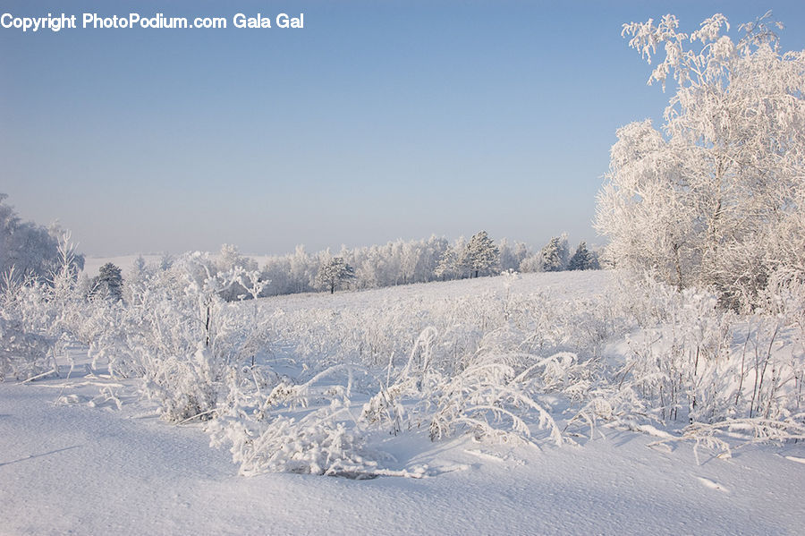 Frost, Ice, Outdoors, Snow, Landscape, Nature, Scenery