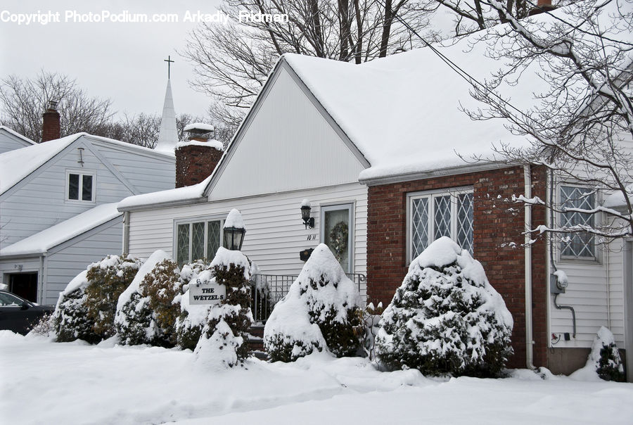 Ice, Outdoors, Snow, Building, Cottage, Housing, Bush