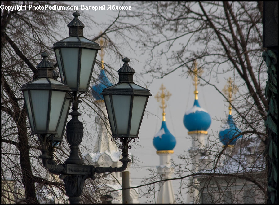 Lantern, Lamp Post, Pole, Accipiter, Bird, Lamp, Lampshade