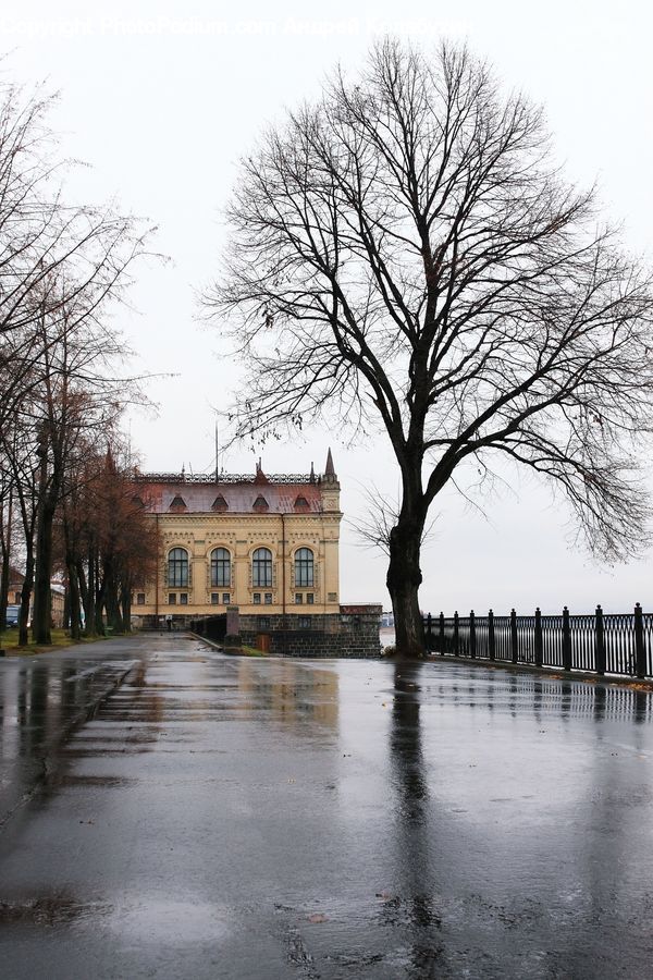 Plant, Tree, Building, Housing, Villa, Oak, Wood